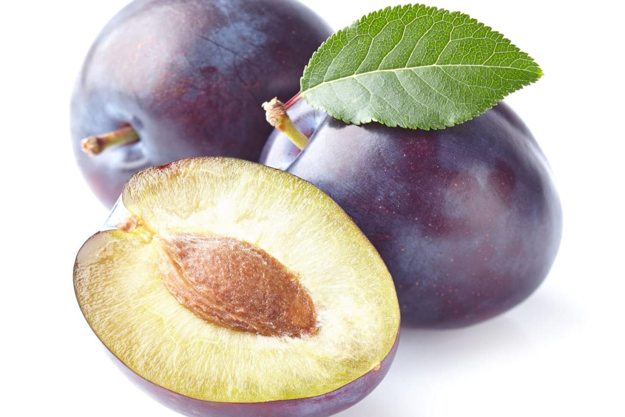 Prune Definition Greek at Jennifer Wilkins blog Prune Definition Greek at Jennifer Wilkins blog