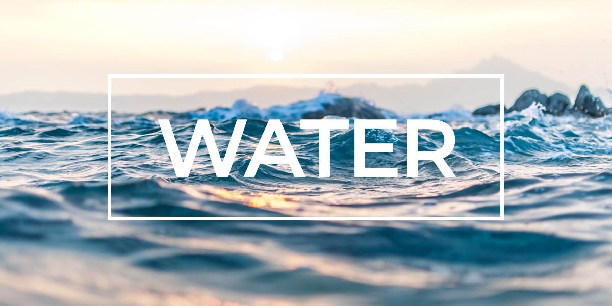 What's in your Water? What's in your Water?