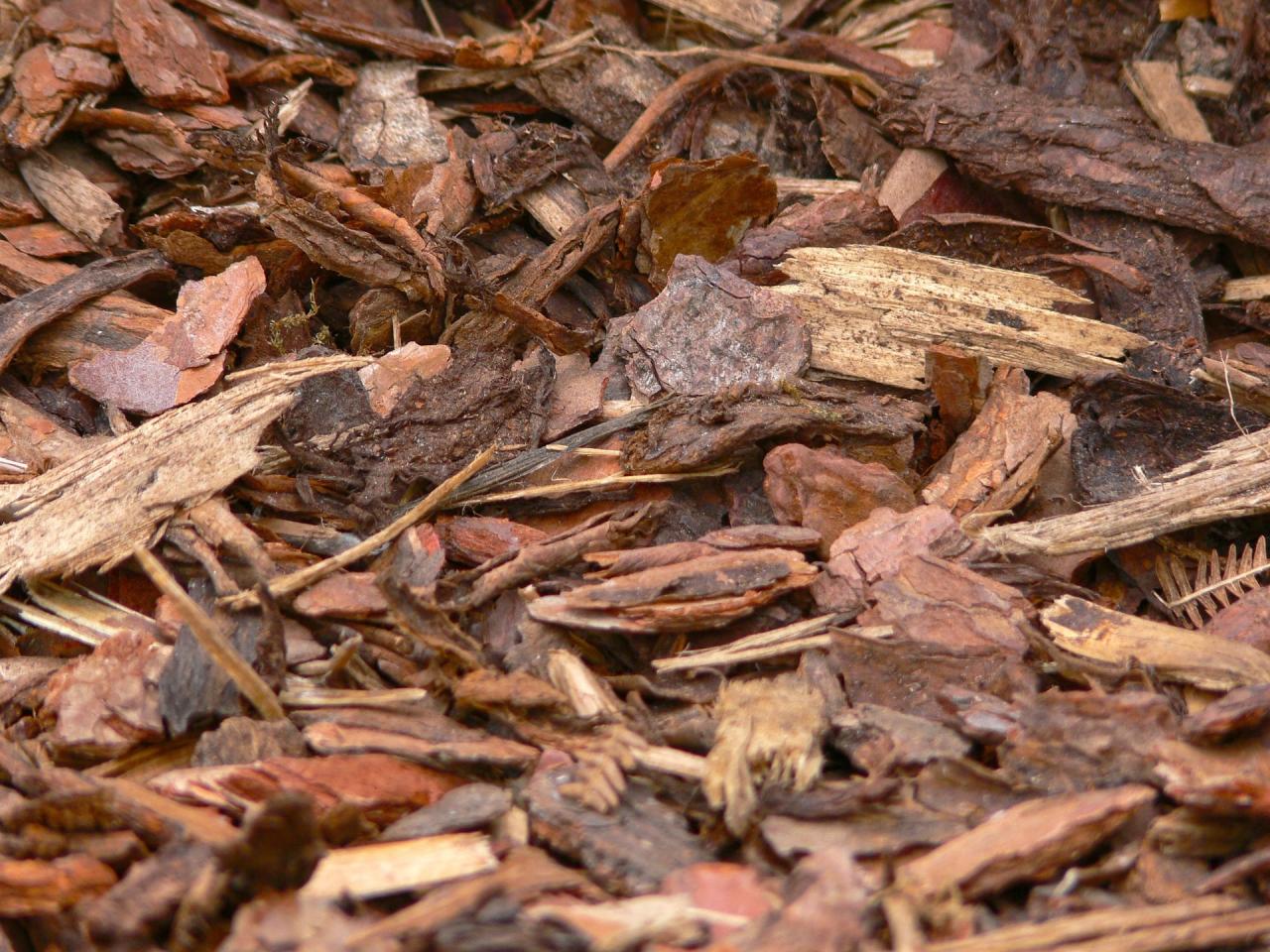 The Benefits of Bark Mulch in your Garden | Stanler Farms The Benefits of Bark Mulch in your Garden | Stanler Farms