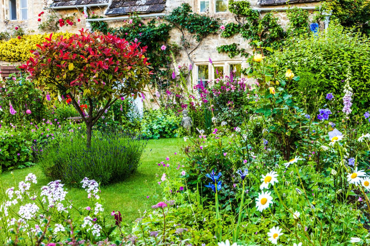 How to create a classic English country cottage garden: What to plant ... How to create a classic English country cottage garden: What to plant ...