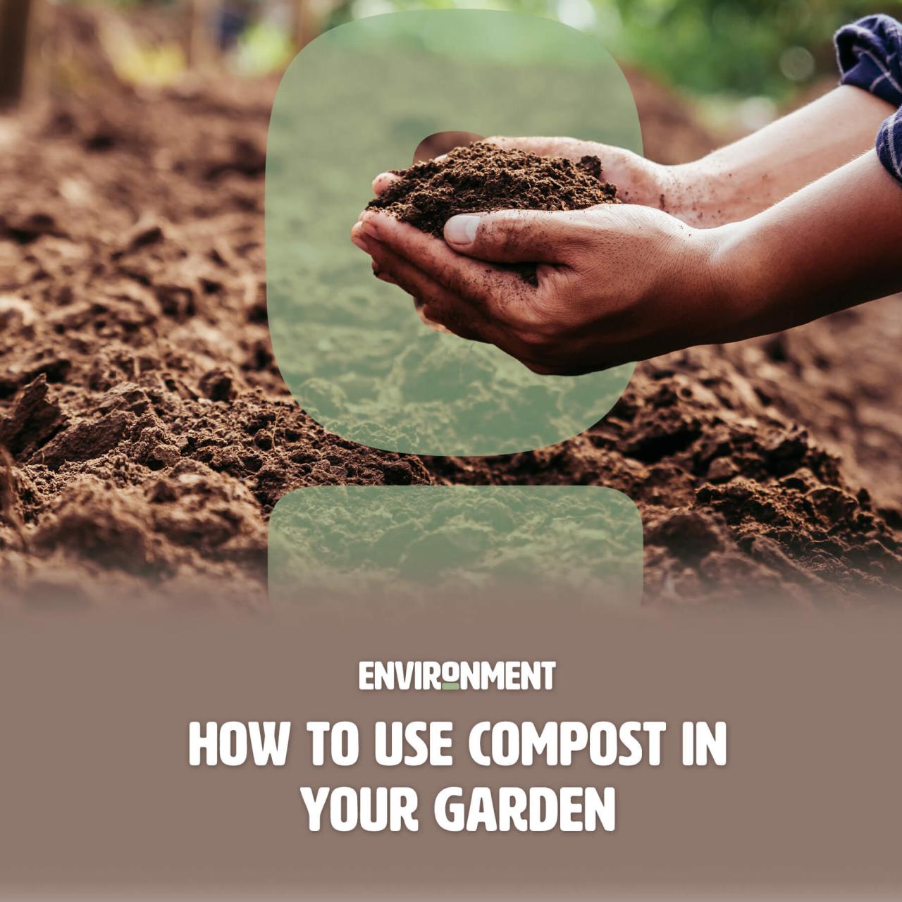 How to Use Compost in Your Garden - Environment Co How to Use Compost in Your Garden - Environment Co