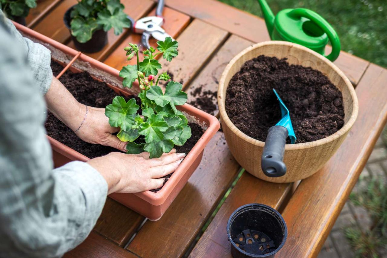 How to Use Compost in Your Garden How to Use Compost in Your Garden