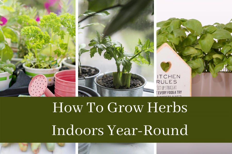 Herbs That You Can Grow Indoors | HGTV Herbs That You Can Grow Indoors | HGTV