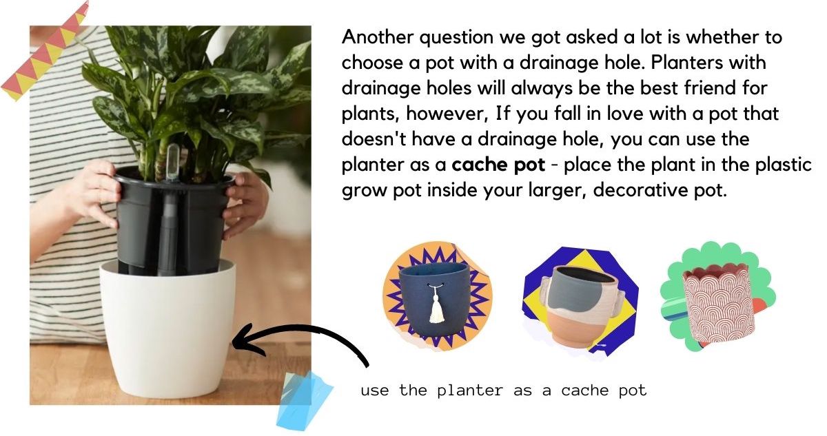 How to repot your plant – a step-by-step guide – Your Plant Store How to repot your plant – a step-by-step guide – Your Plant Store
