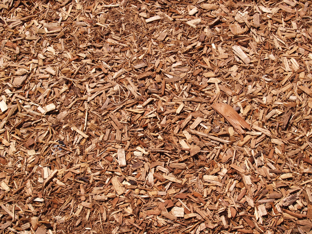 16 Types of Mulch and the Best Ways to Use Them 16 Types of Mulch and the Best Ways to Use Them