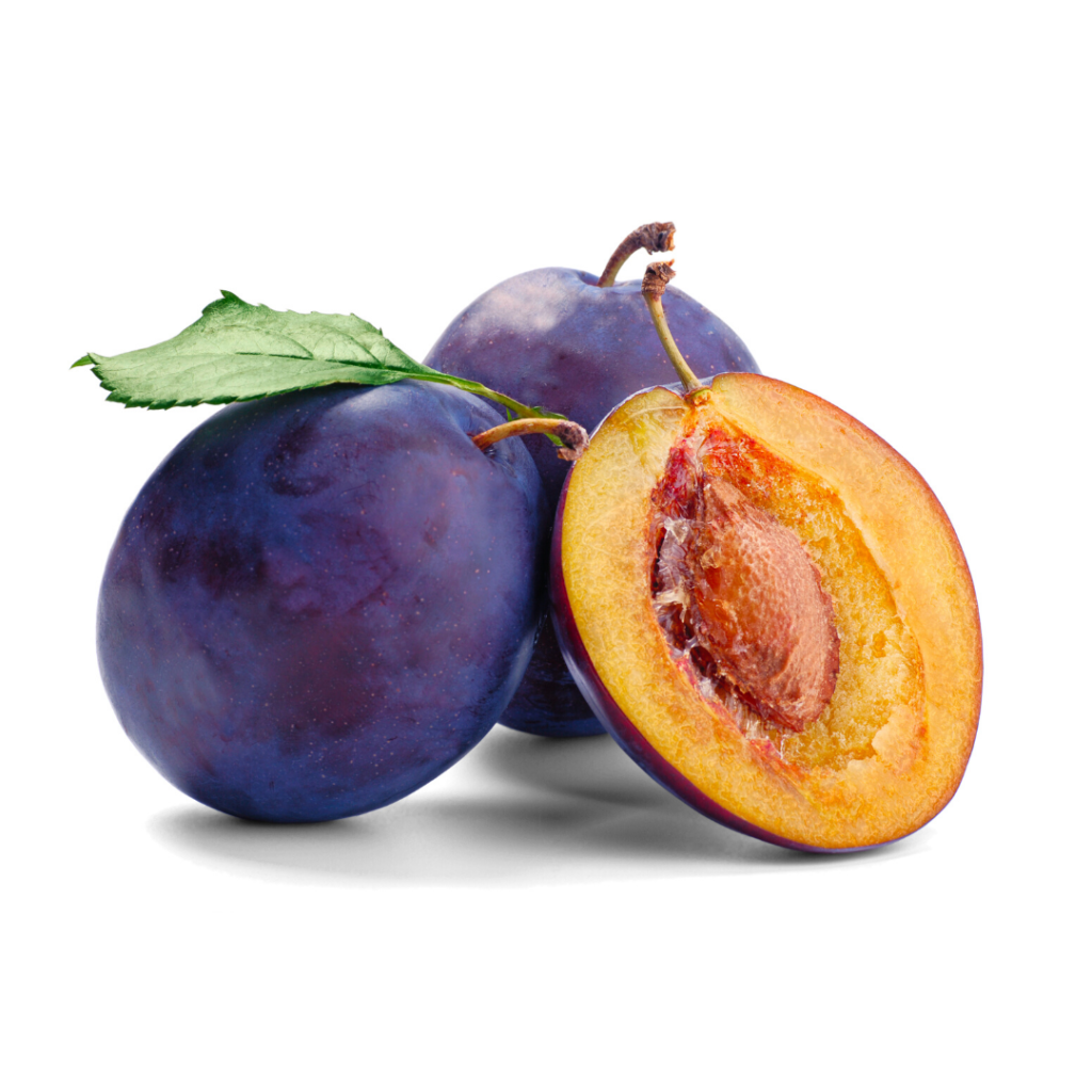 Prune stock photo. Image of summer, health, prune, background - 21145670