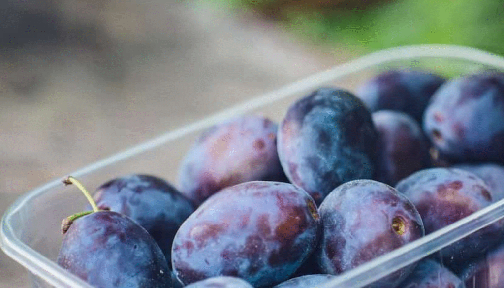 Prune Jaune ES 500gr - Bioceno Prune Jaune ES 500gr - Bioceno