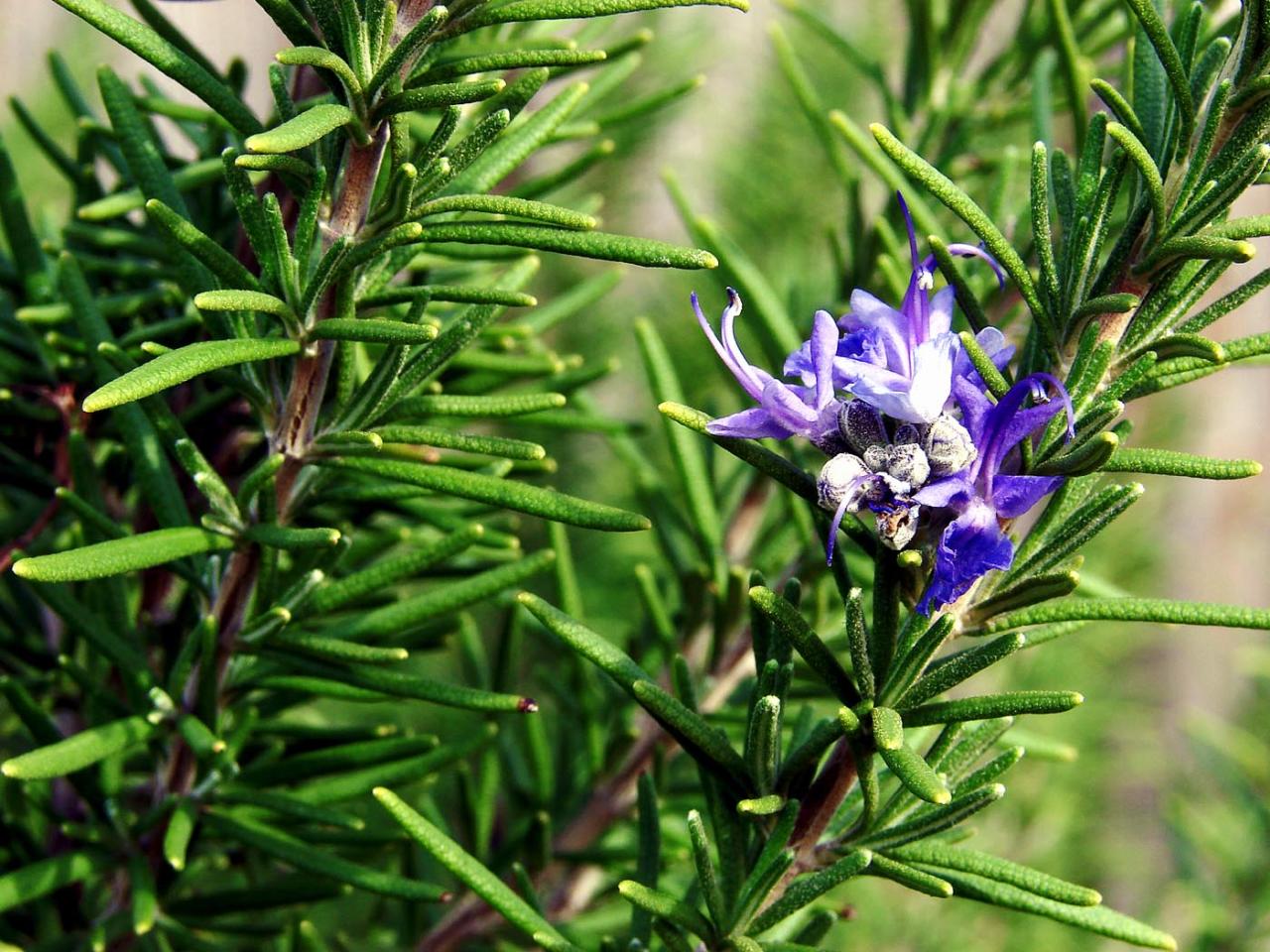 The GROW coaching model, explained step-by-step — BiteSize Learning The GROW coaching model, explained step-by-step — BiteSize Learning