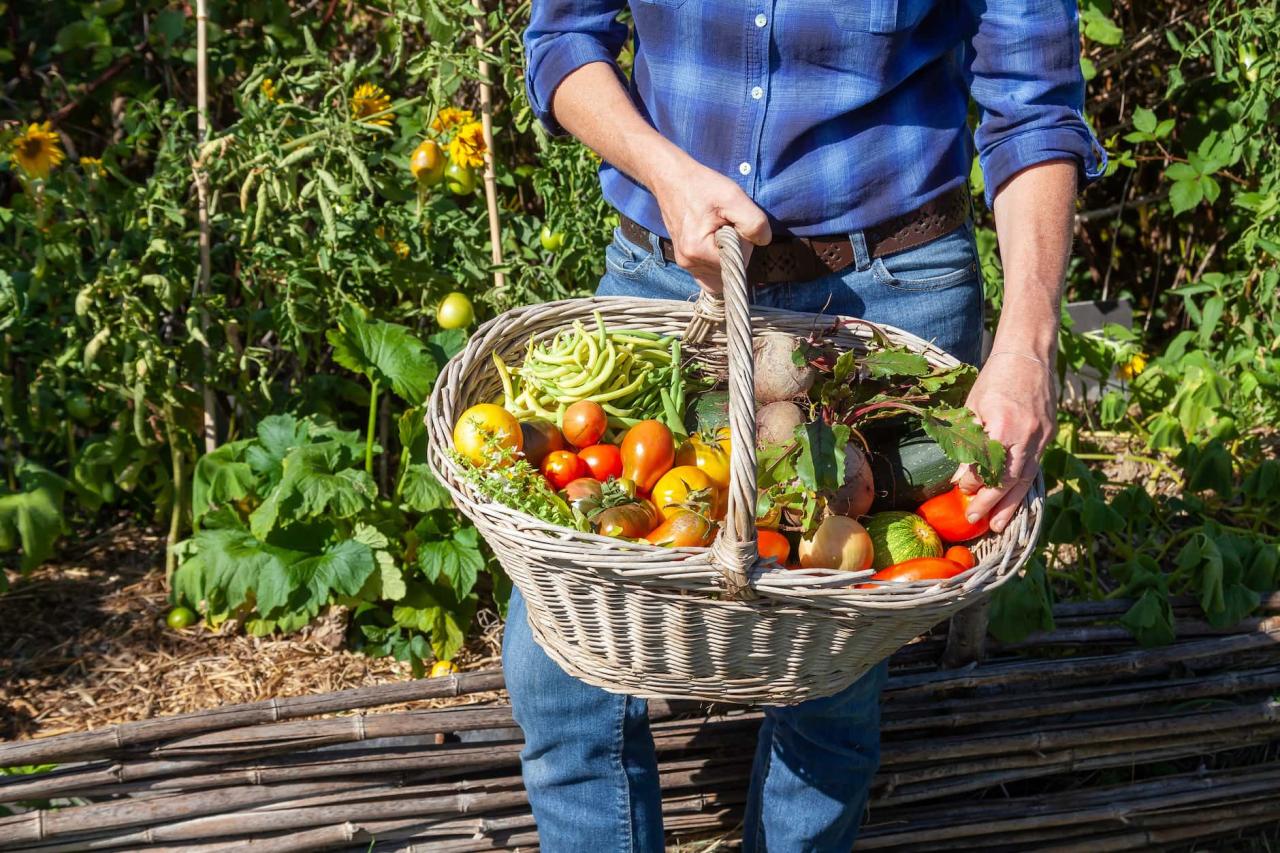 15 Tips On How To Store and Preserve Your Garden Harvest - Farmers ... 15 Tips On How To Store and Preserve Your Garden Harvest - Farmers ...