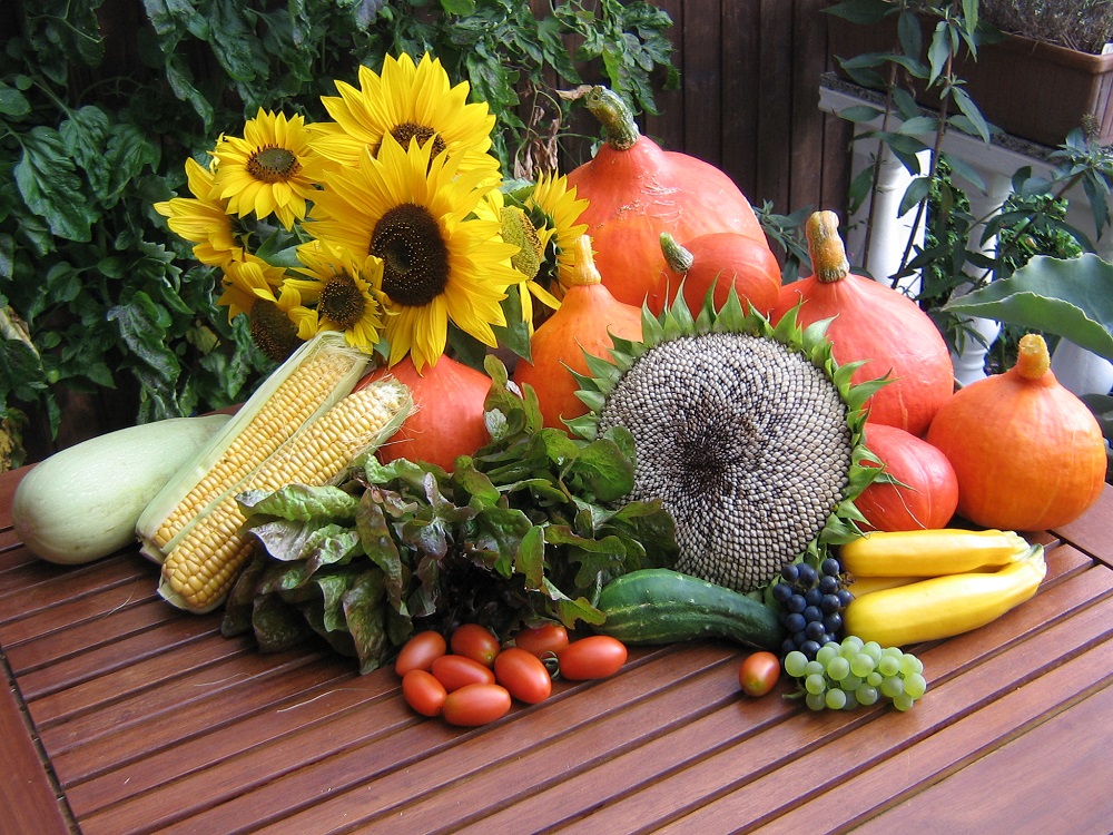 The Principle Of The Harvest | The Odyssey Online