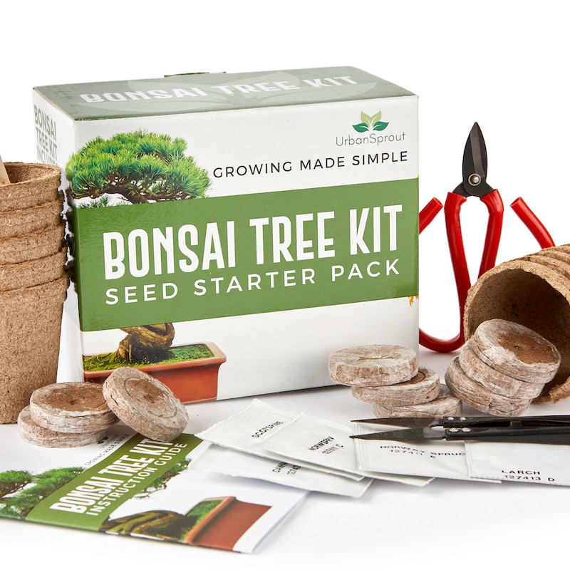 Grow a Garden Zen Rocks: how to get, and sell value | Eurogamer.net