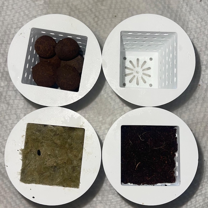 Grow in Clay - Etsy