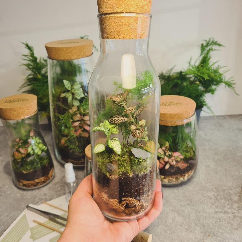 Grow a Garden Starter Kit - Etsy UK