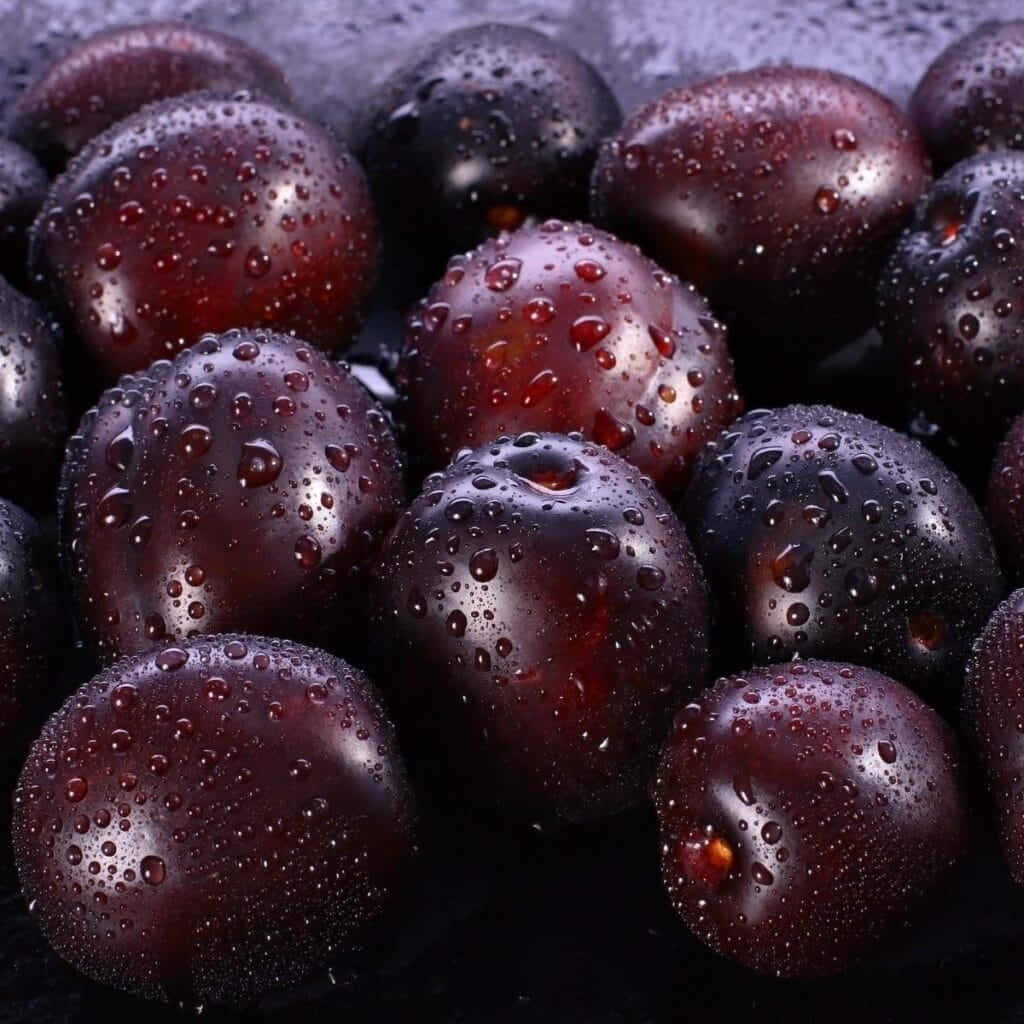 [100+] Italian Prune Plum Wallpapers | Wallpapers.com