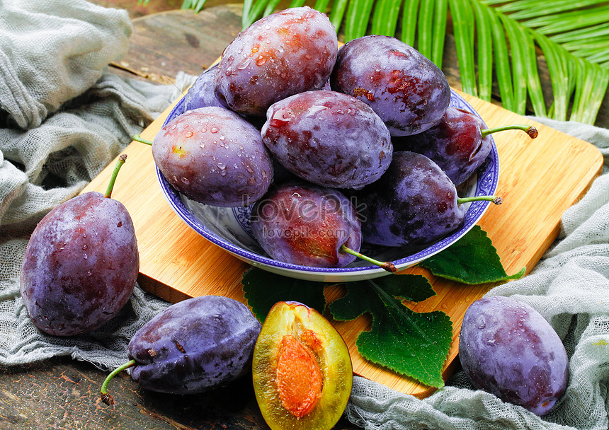 Italian Prune Plum | Platt Hill Nursery