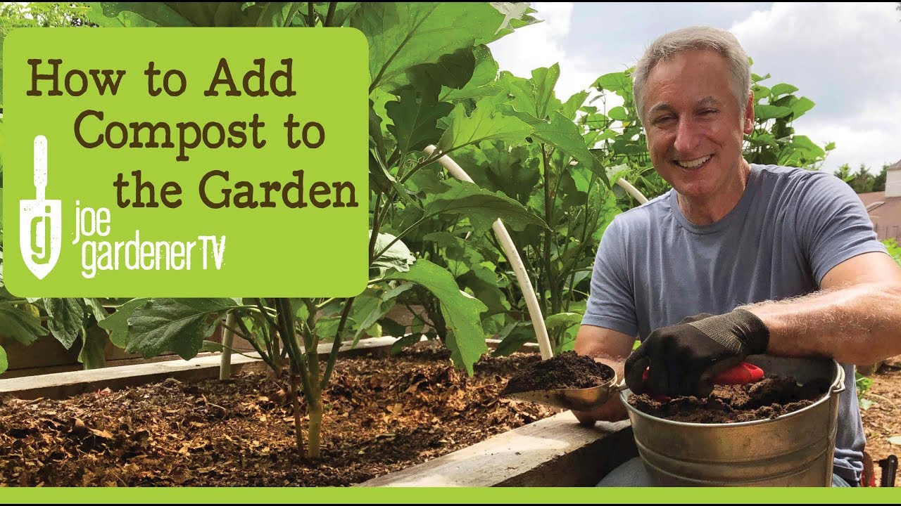 How to Use Compost in Your Garden How to Use Compost in Your Garden