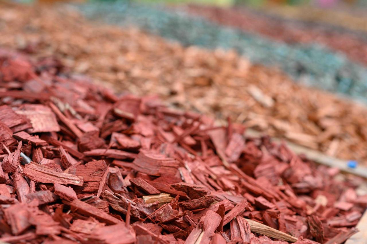 What Is Mulch and Which Mulch Should You Use Where? What Is Mulch and Which Mulch Should You Use Where?