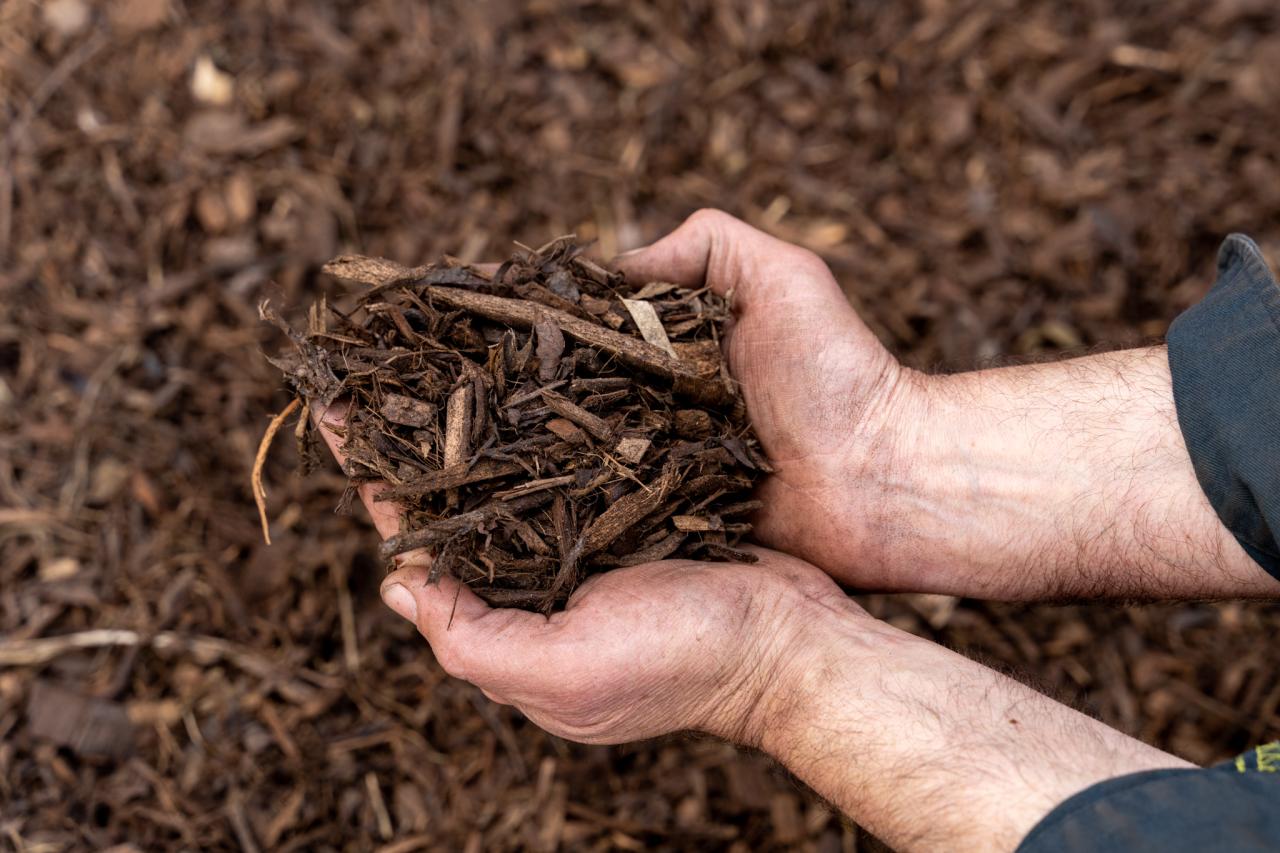 Which Mulch is Best for Your Landscape? | McDonald Garden Center Which Mulch is Best for Your Landscape? | McDonald Garden Center