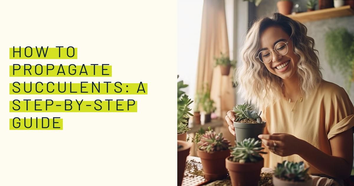 Easy Steps on How to Propagate Succulents at Home Easy Steps on How to Propagate Succulents at Home