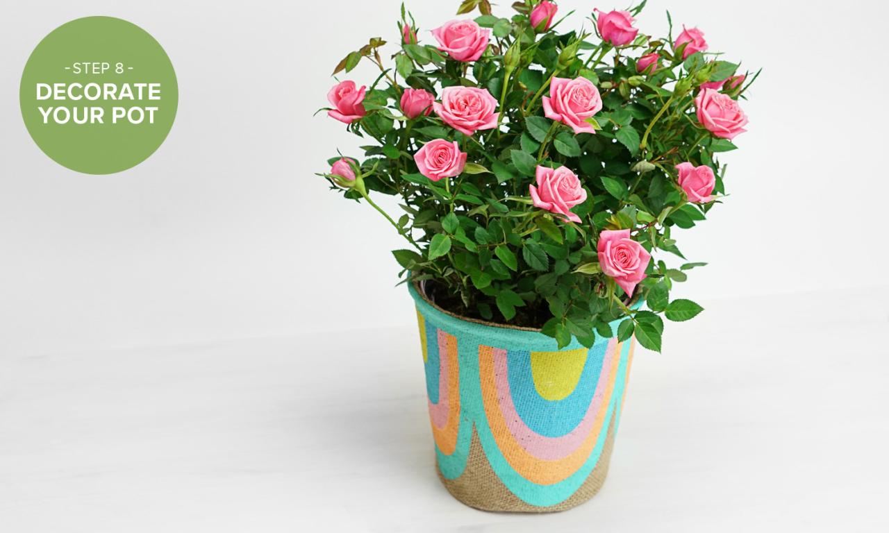 How to Repot a Plant: 7 Simple Steps With Pictures | ProFlowers How to Repot a Plant: 7 Simple Steps With Pictures | ProFlowers