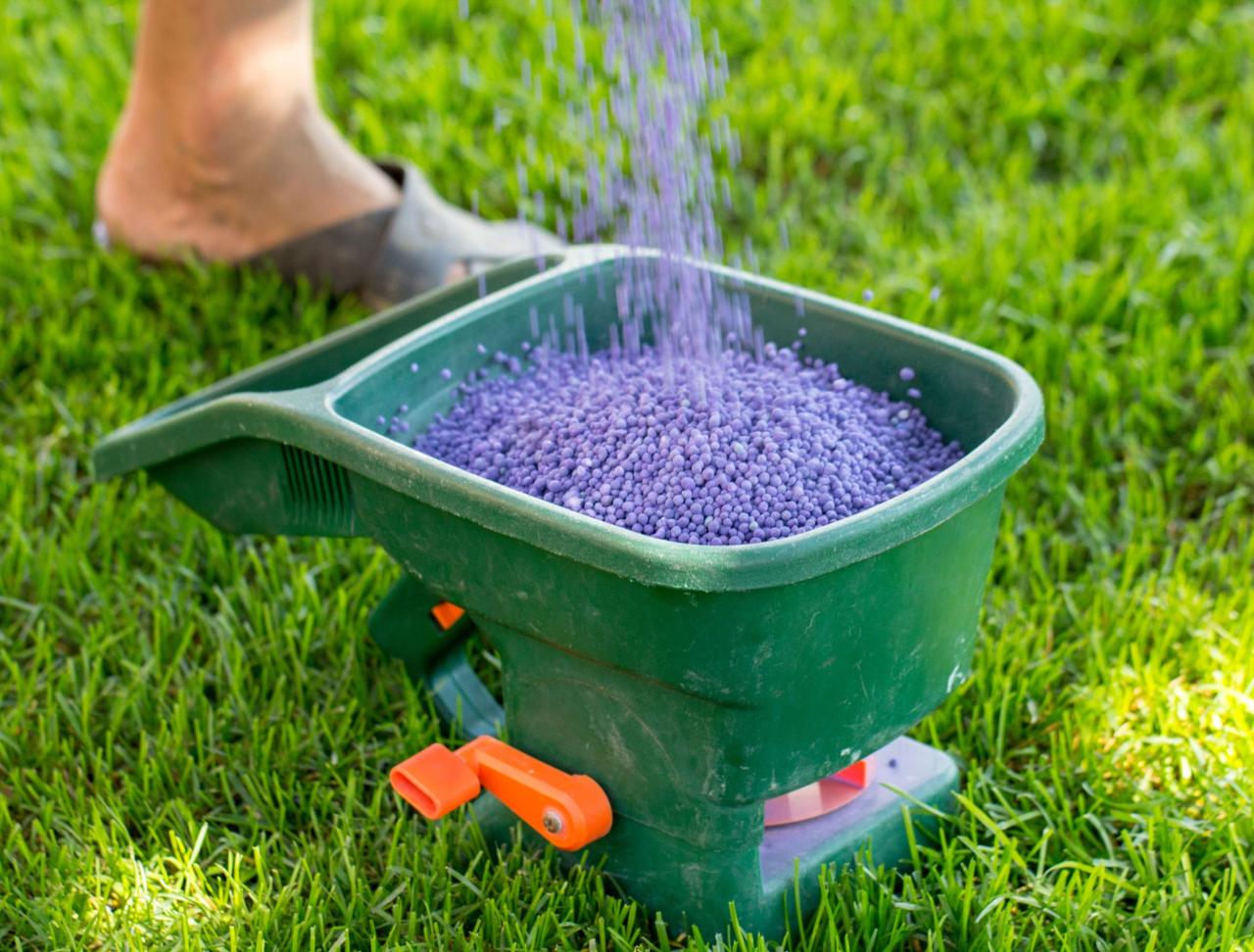 Fertilizer Lawn Guide at Stanley Musso blog Fertilizer Lawn Guide at Stanley Musso blog
