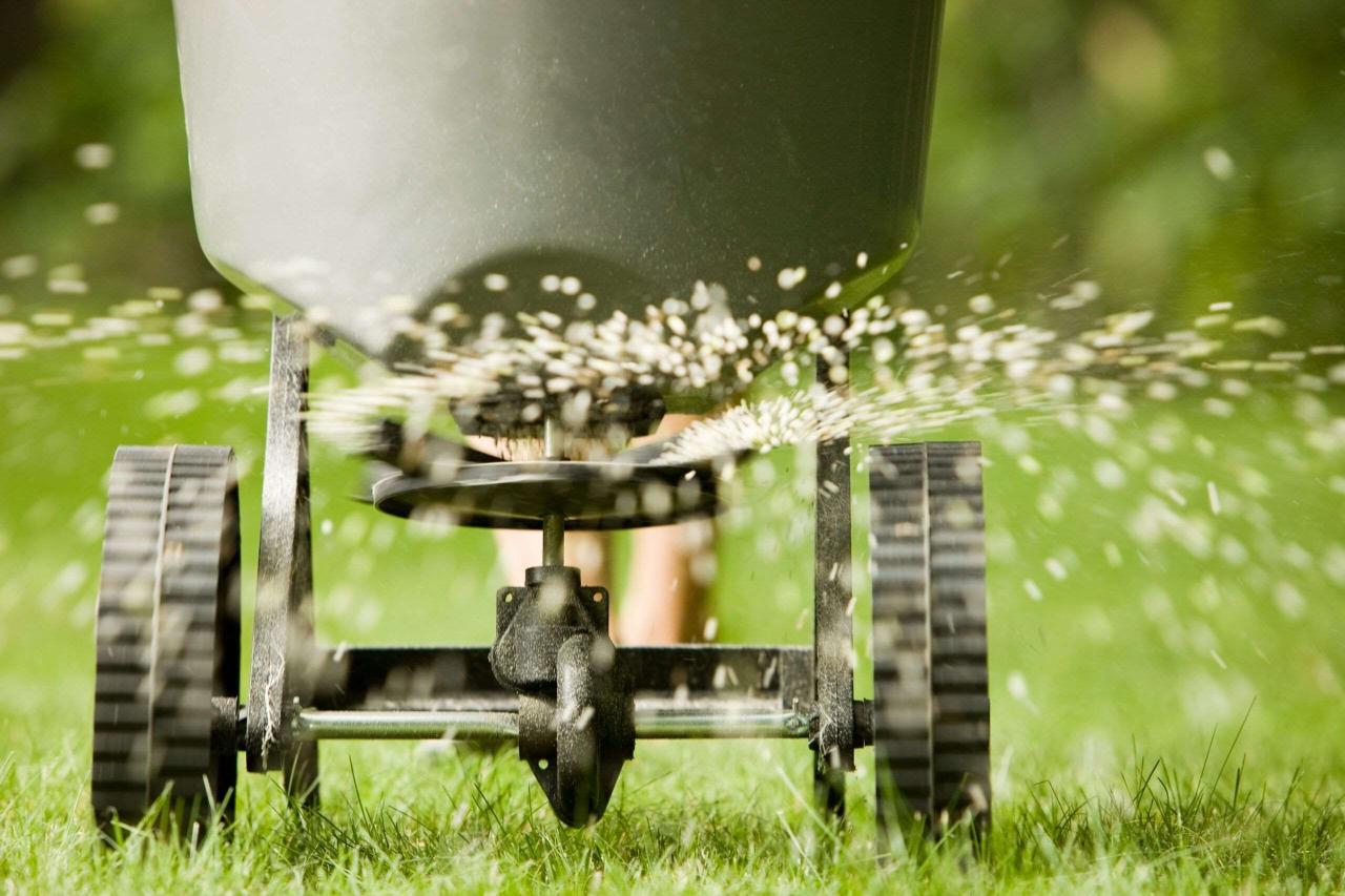 How to fertilize plants naturally