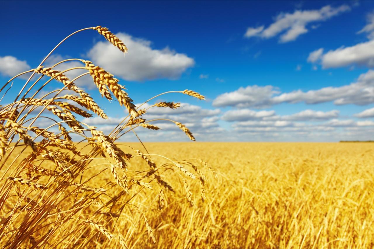 Understanding the Harvest - Kenneth Copeland Ministries Australia Understanding the Harvest - Kenneth Copeland Ministries Australia